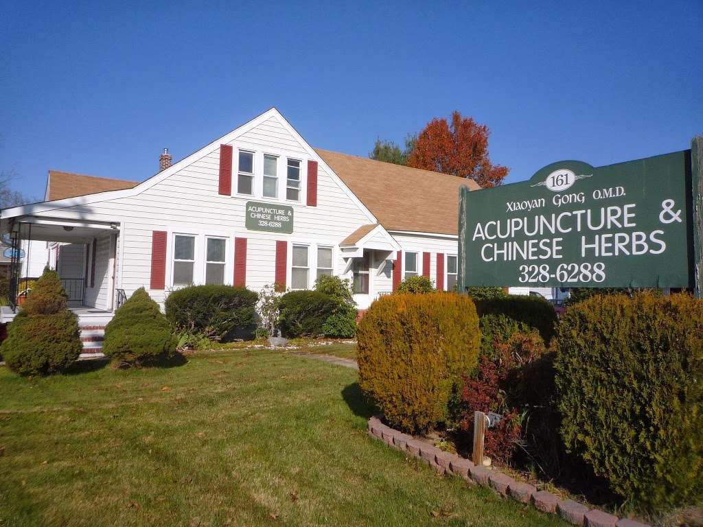 Gong Acupuncture & Chinese Herbs | 161 S Dupont Hwy, New Castle, DE 19720 | Phone: (302) 328-6288