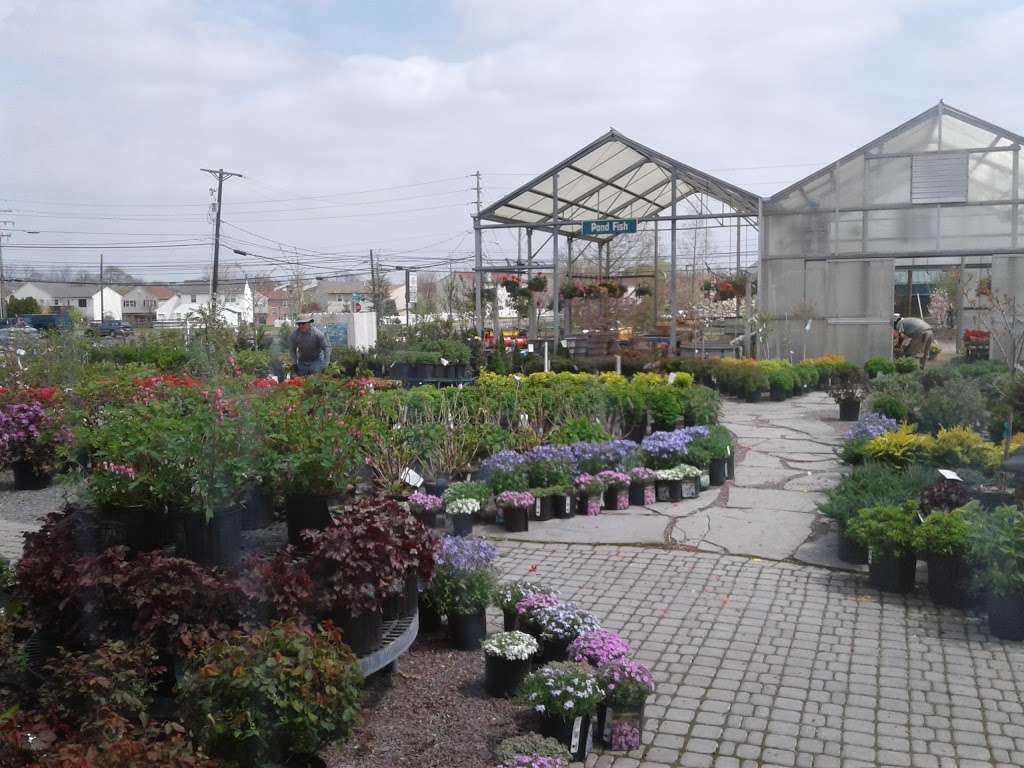 Palmer Nursery | 2210 Corriere Rd Unit A, Easton, PA 18045 | Phone: (610) 253-0948