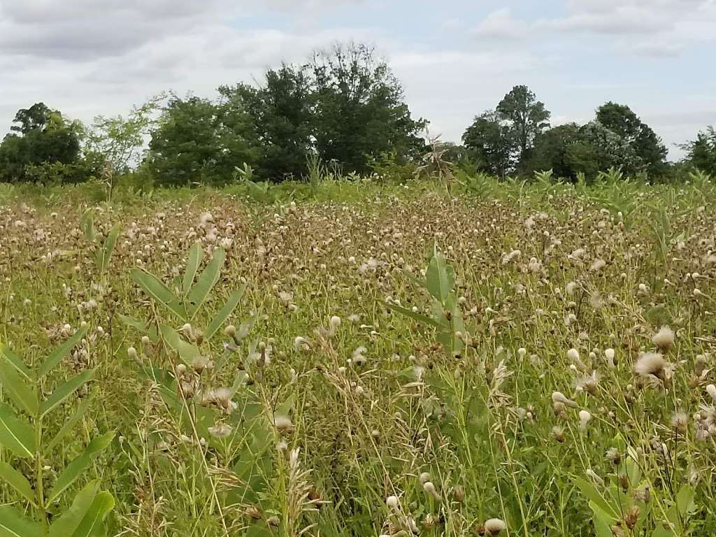 Duke Farms Community Garden | Farm Barn Lane, Hillsborough Township, NJ 08844, USA | Phone: (908) 722-3700