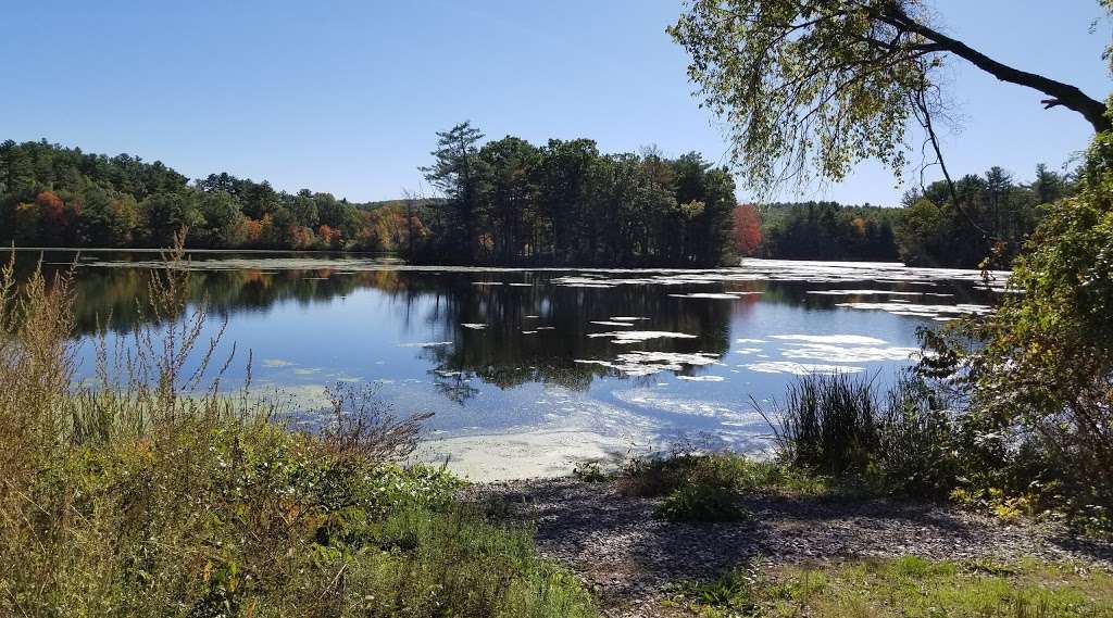 Carding Mill Pond | 102 Dutton Rd, Sudbury, MA 01776, USA