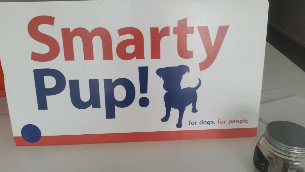 Smarty pup | 3133 Vicente St, San Francisco, CA 94116, USA | Phone: (415) 730-5149