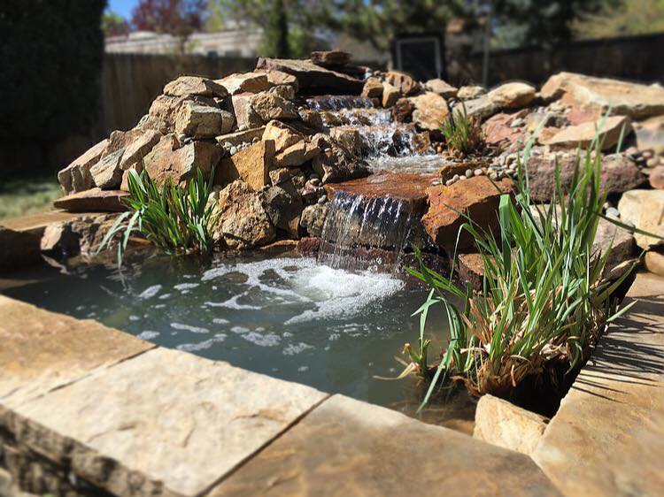 Professional Ponds | 18300 Apache Dr, Parker, CO 80134 | Phone: (720) 651-1424