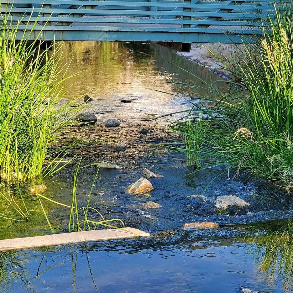 Sweetwater Wetlands Park | 2511 W Sweetwater Dr, Tucson, AZ 85745, USA | Phone: (520) 791-4331