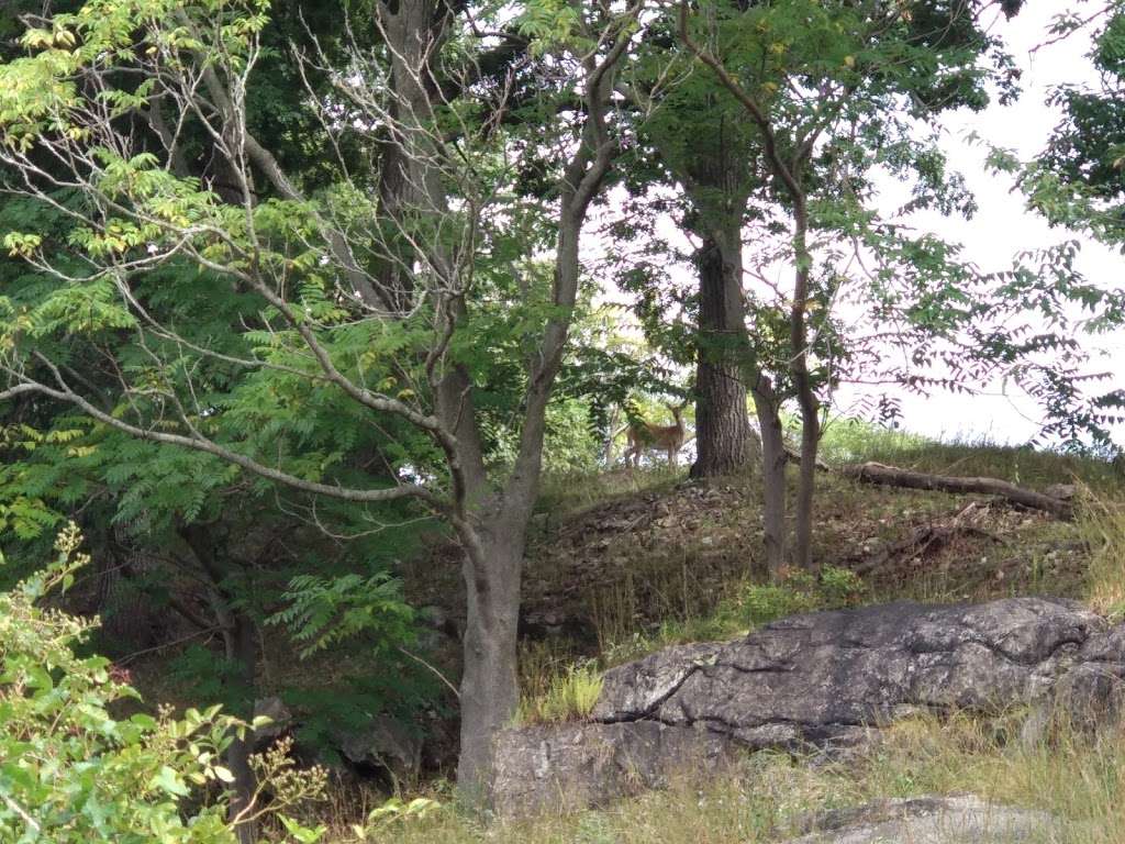 Iona Island | Tomkins Cove, NY 10986, USA