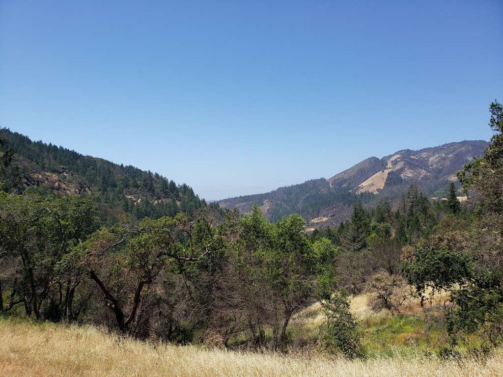 Walk at Sugarloaf Ridge State Park | 2605 Adobe Canyon Rd, Kenwood, CA 95452, USA | Phone: (707) 833-6288