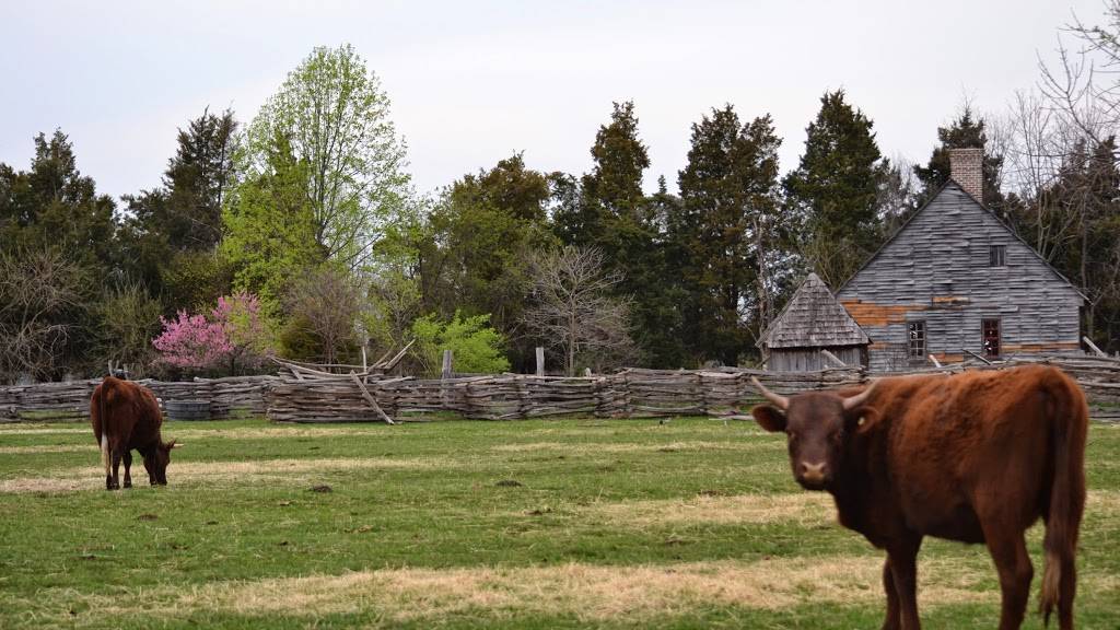 Accokeek Foundation | 3400 Bryan Point Rd, Accokeek, MD 20607, USA | Phone: (301) 283-2113