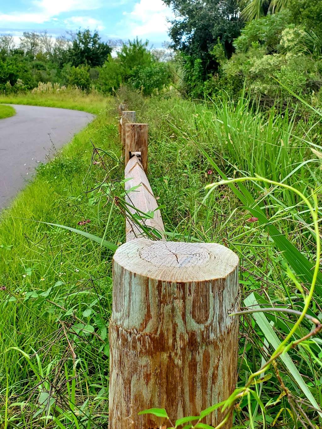 Walking Trail | 28°13′18.6″N 80°42′51.1, West Dr, Melbourne, FL 32940, USA