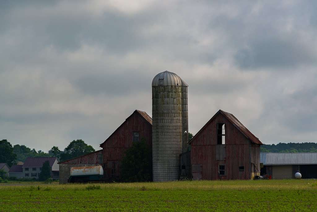 Norman G Wilder Wildlife Area | Willow Grove Rd, Camden Wyoming, DE 19934