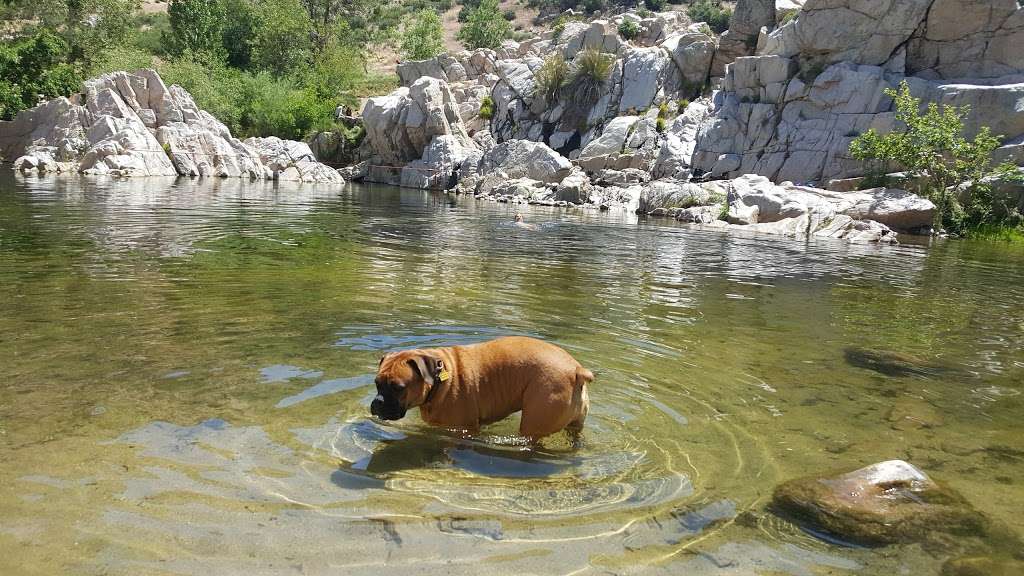 Deep Creek Hot Springs | Pacific Crest Trail, Apple Valley, CA 92308, USA | Phone: (909) 382-2600