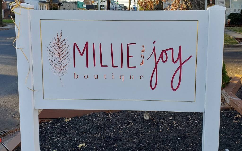 Millie and Joy | 1361 Franklin St, Rahway, NJ 07065, USA | Phone: (917) 538-1990