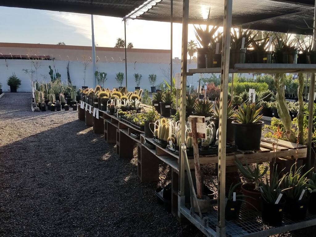 A & P Nursery | 2645 W Baseline Rd, Mesa, AZ 85202, USA | Phone: (480) 839-5362