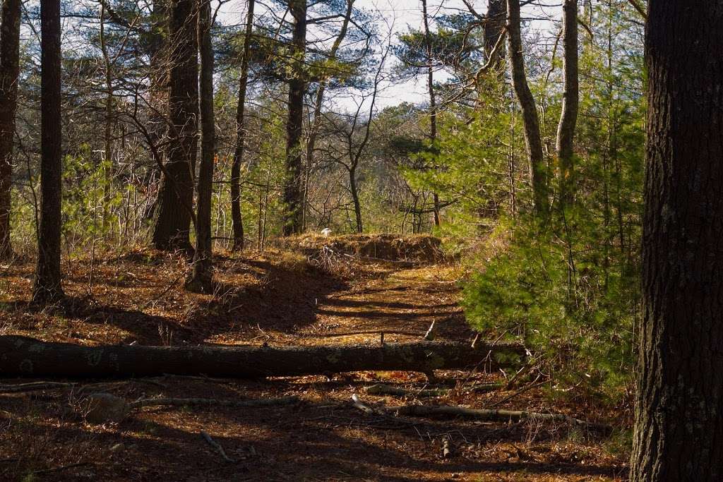 Little Island Pond | Plymouth, MA 02360, USA