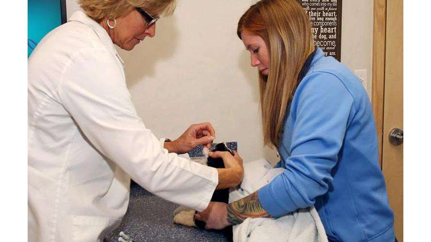 Longwood Veterinary Center | 230 Kennett Pike, Kennett Square, PA 19348, USA | Phone: (610) 388-3388