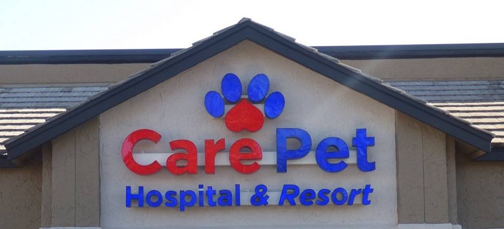 Care Pet Hospital & Resort | 2485 Monument Rd Suite 9, Jacksonville, FL 32225, USA | Phone: (904) 549-5883