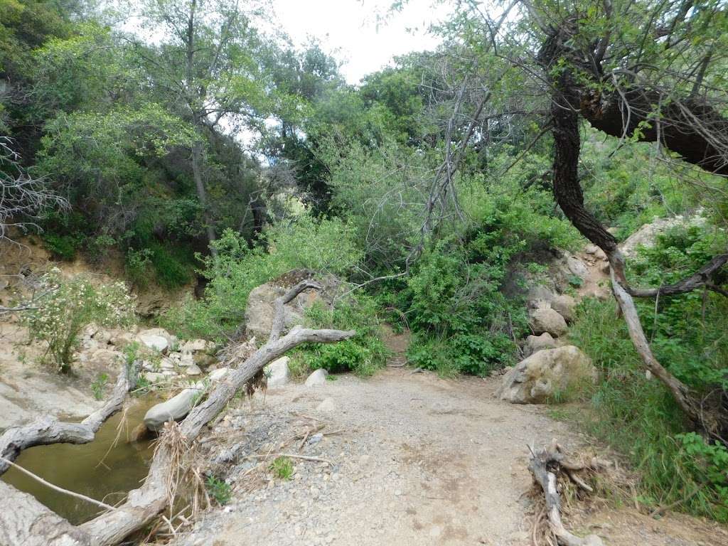 Black Star Canyon | 11893-, 12247 Black Star Canyon Rd, Silverado, CA 92676, USA