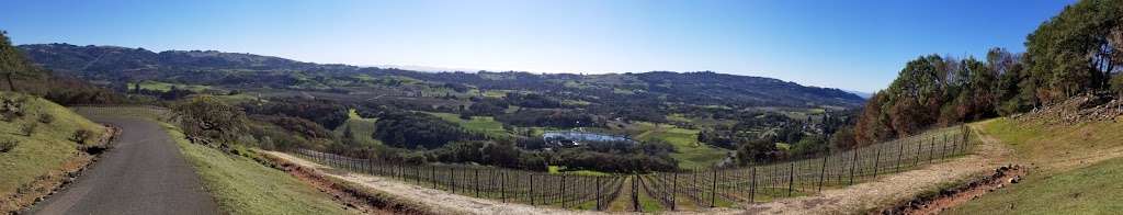 Wine Country Chauffeur | 6573 Birch Dr, Santa Rosa, CA 95404, USA | Phone: (707) 217-7957