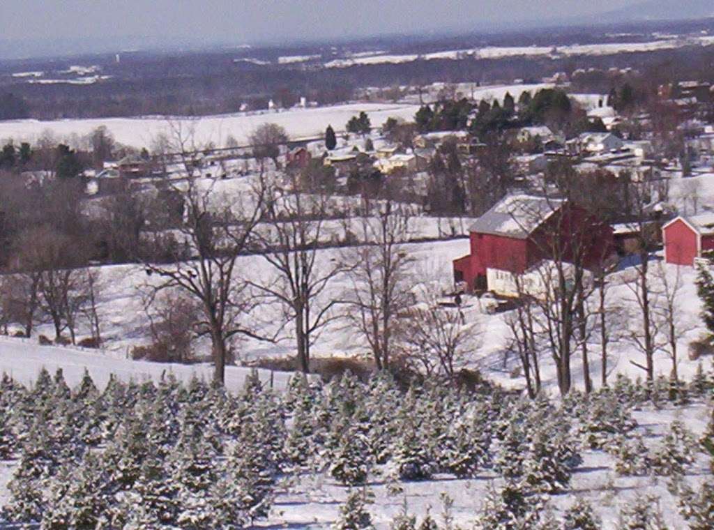 South Mountain MicroFARM | 6138 Clevelandtown Rd, Boonsboro, MD 21713