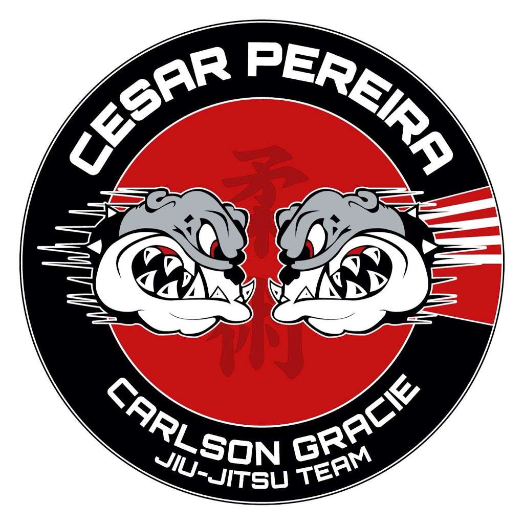 Carlson Gracie Team - CT/Cesar Pereira BJJ | 1130 E Main St, Stamford, CT 06902, USA | Phone: (203) 978-3696