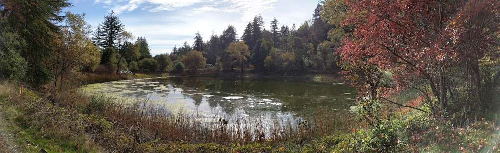 Bear Creek Redwoods Open Space Preserve | Los Gatos, CA 95033, USA | Phone: (650) 691-1200