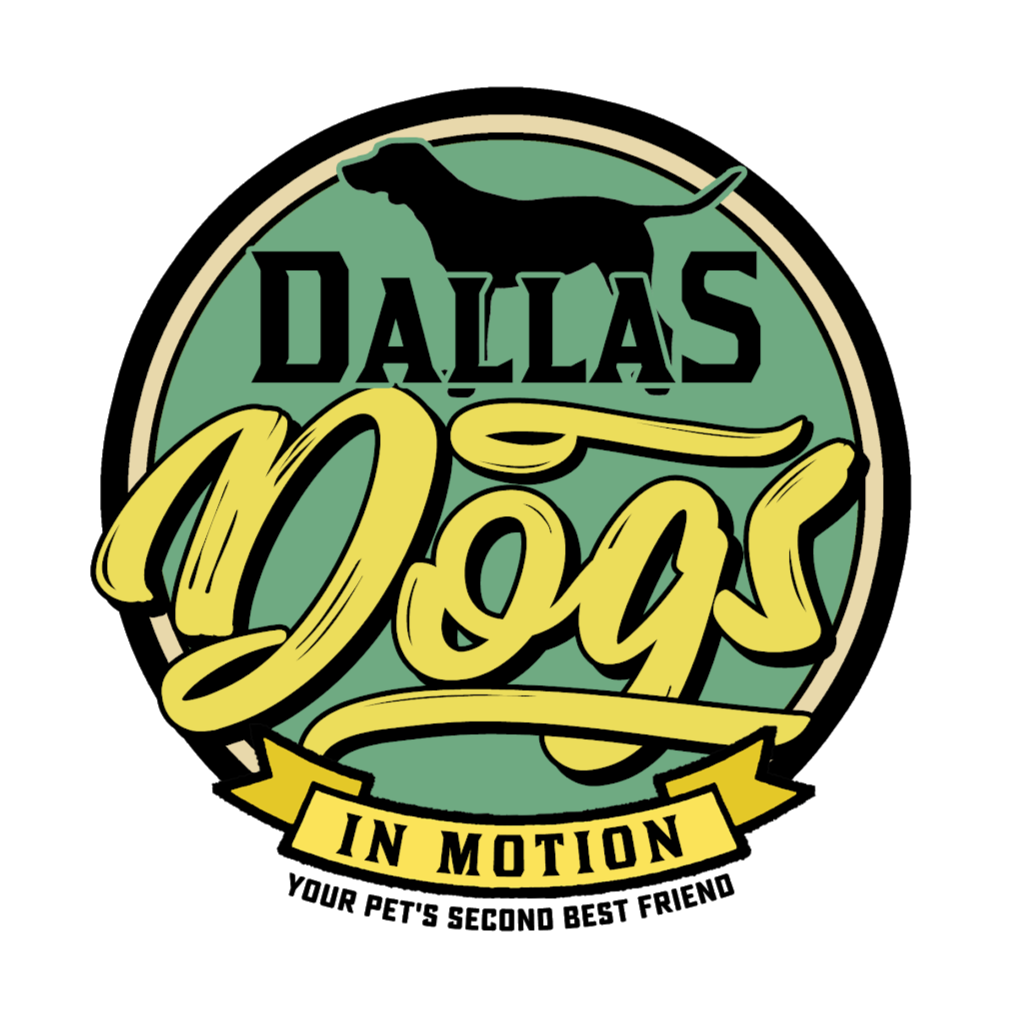 Dallas Dogs in Motion | 4858 Hazelhurst Ln, Dallas, TX 75227 | Phone: (972) 836-7685