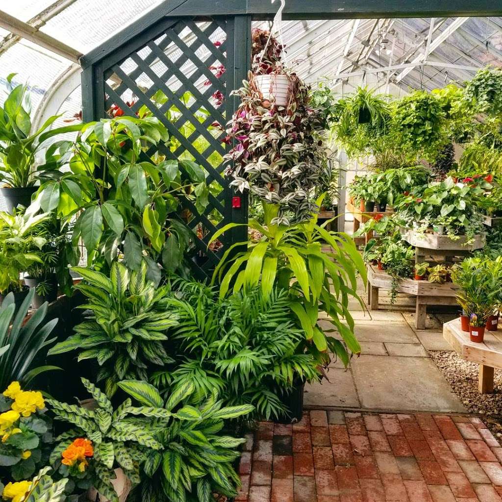 Weston Nurseries | 93 E Main St, Hopkinton, MA 01748, USA | Phone: (508) 435-3414