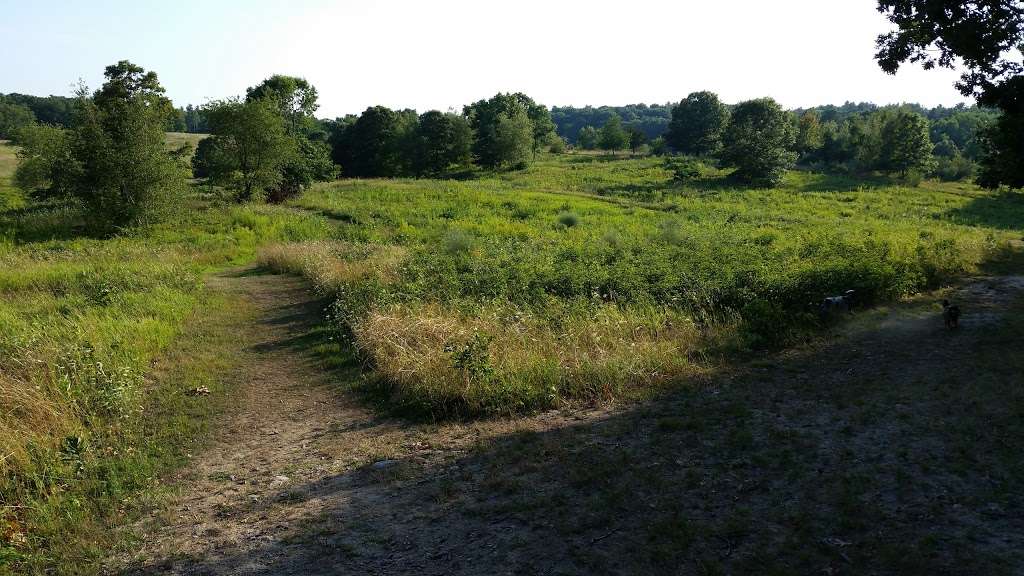 Breakneck Hill Conservation Land | Southborough, MA 01772