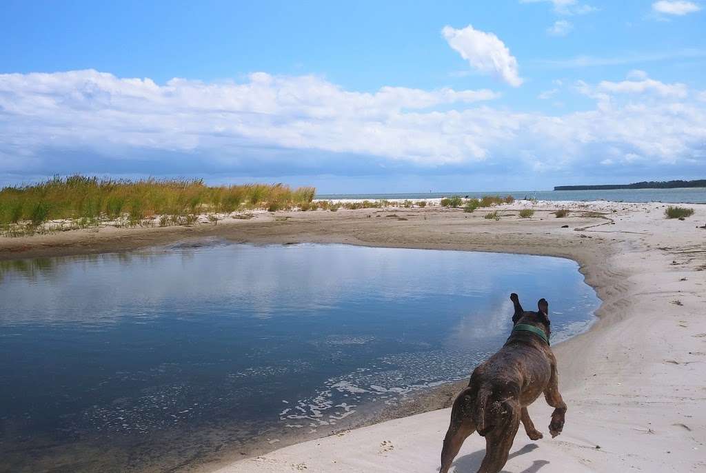 Hughlett Point Natural Area Preserve | Kilmarnock, VA 22482, USA | Phone: (804) 786-7951