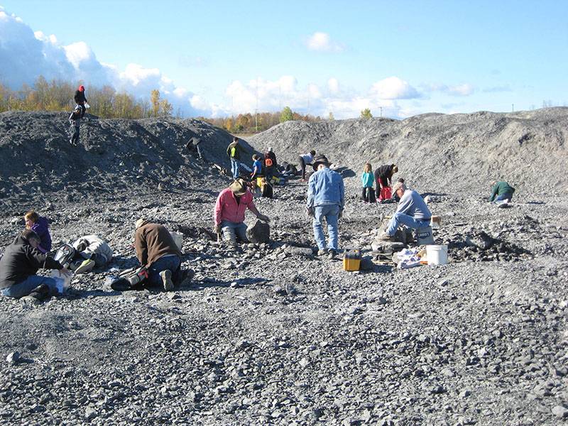 Penn Dixie Fossil Park & Nature Reserve | 4050 North St, Blasdell, NY 14219, USA | Phone: (716) 627-4560