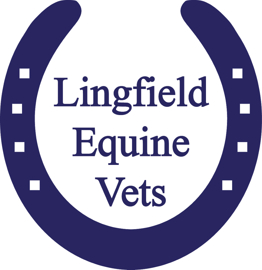 Lingfield Equine Vets | Chester Lodge, Woodcock Hill, Felbridge, East Grinstead RH19 2RD, UK | Phone: 01342 300008
