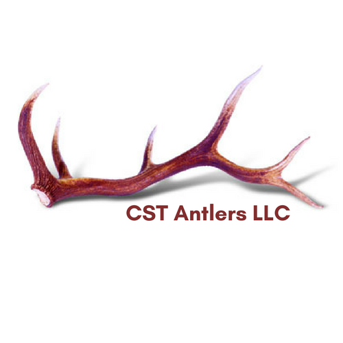 CST Antlers LLC | W7015 N Walworth Rd, Walworth, WI 53184, USA | Phone: (262) 903-6488