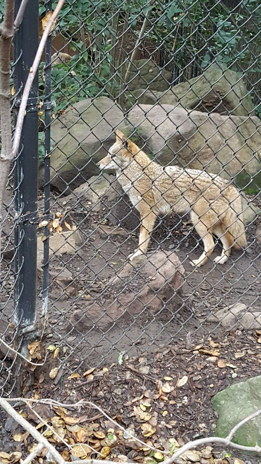 Sulphur Creek Nature Center | 1801 D St, Hayward, CA 94541, USA | Phone: (510) 881-6747