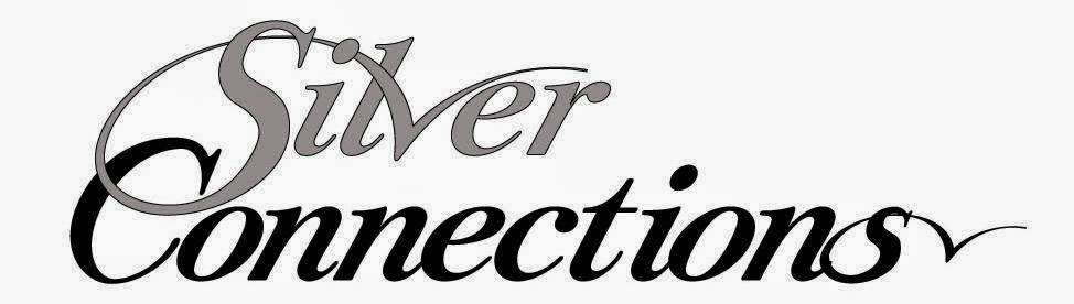 Silver Connections Senior Housing and Care Experts | 1917 W 56th St, La Grange, IL 60525 | Phone: (866) 421-8266