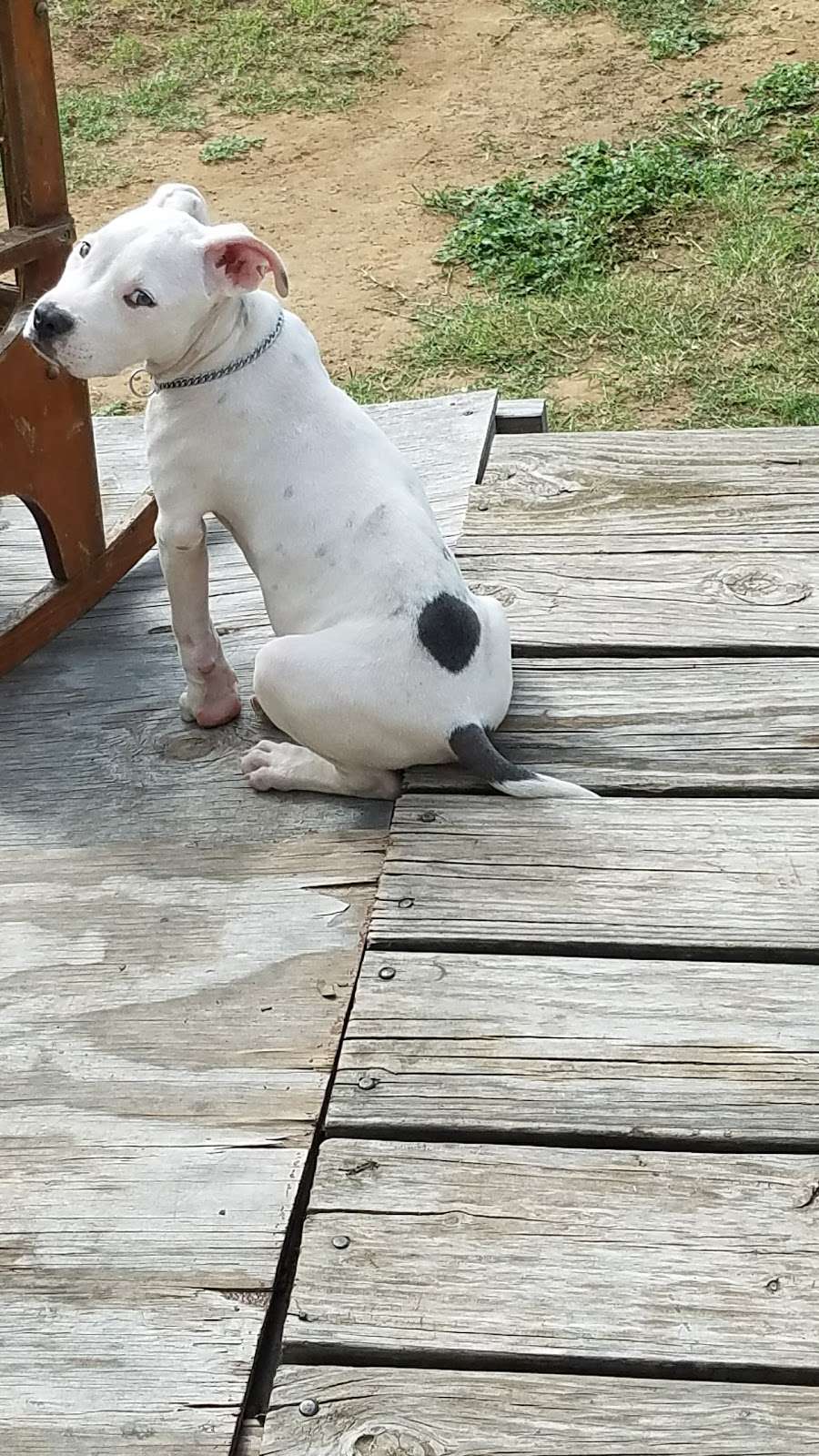 Stevie Barnes Trucking | 21250 Meadowbrook Dr, Lytle, TX 78052, USA | Phone: (830) 772-3318