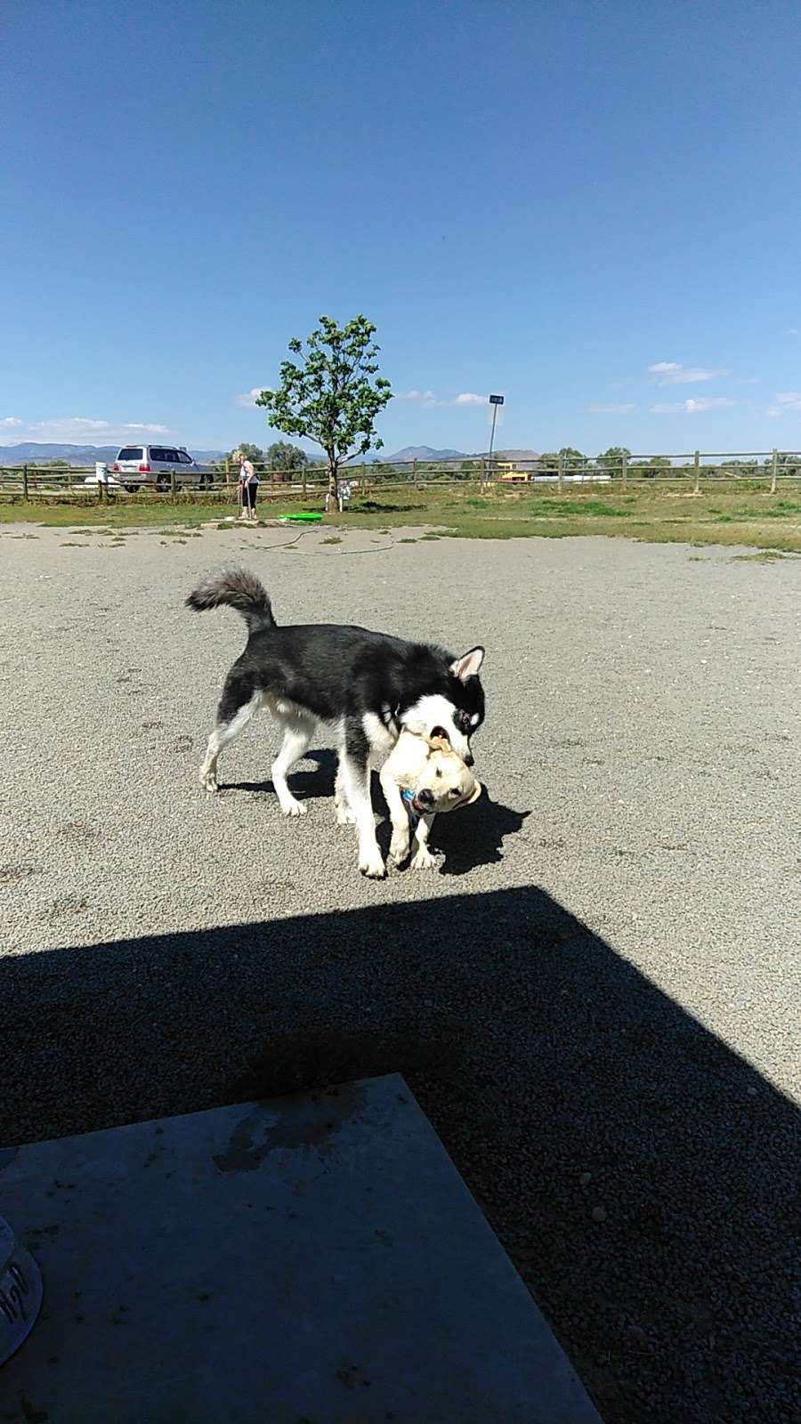 City of Longmont Dog Park #2 | Airport Rd & St Vrain Rd, Longmont, CO 80503 | Phone: (303) 651-8416