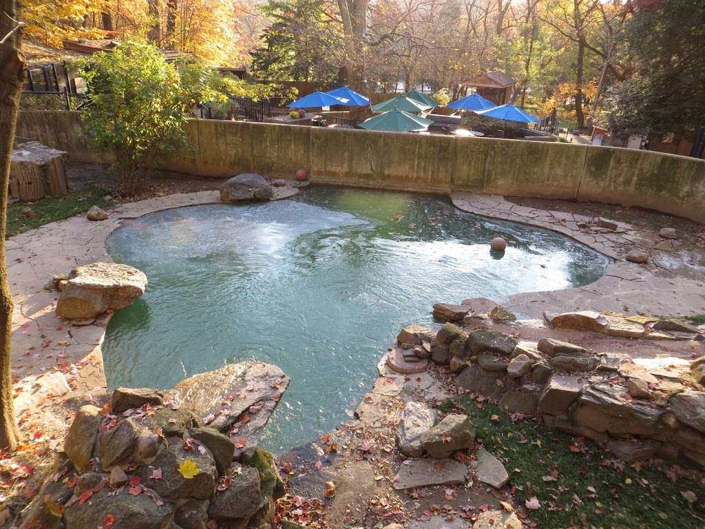 Brandywine Zoo | 1001 N Park Dr, Wilmington, DE 19802, USA | Phone: (302) 571-7747