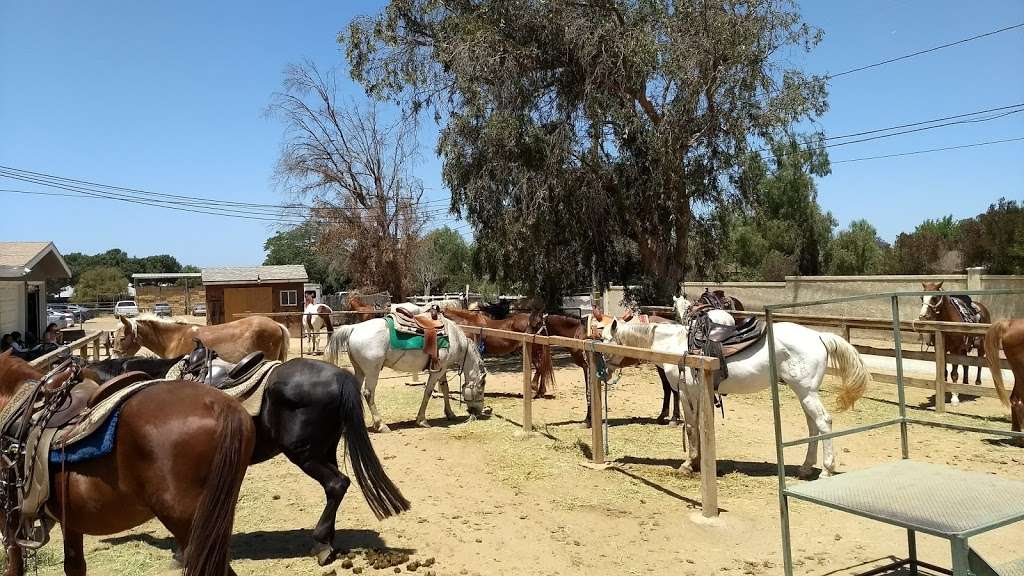 S&D Horseback Riding | 4886 California Ave, Norco, CA 92860, USA | Phone: (909) 645-1270