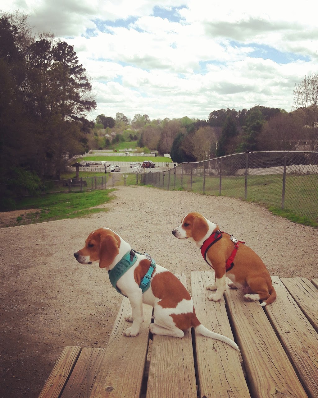 The Preserve Dog Park | 330 OHenry Ave, Davidson, NC 28036, USA | Phone: (704) 892-3349