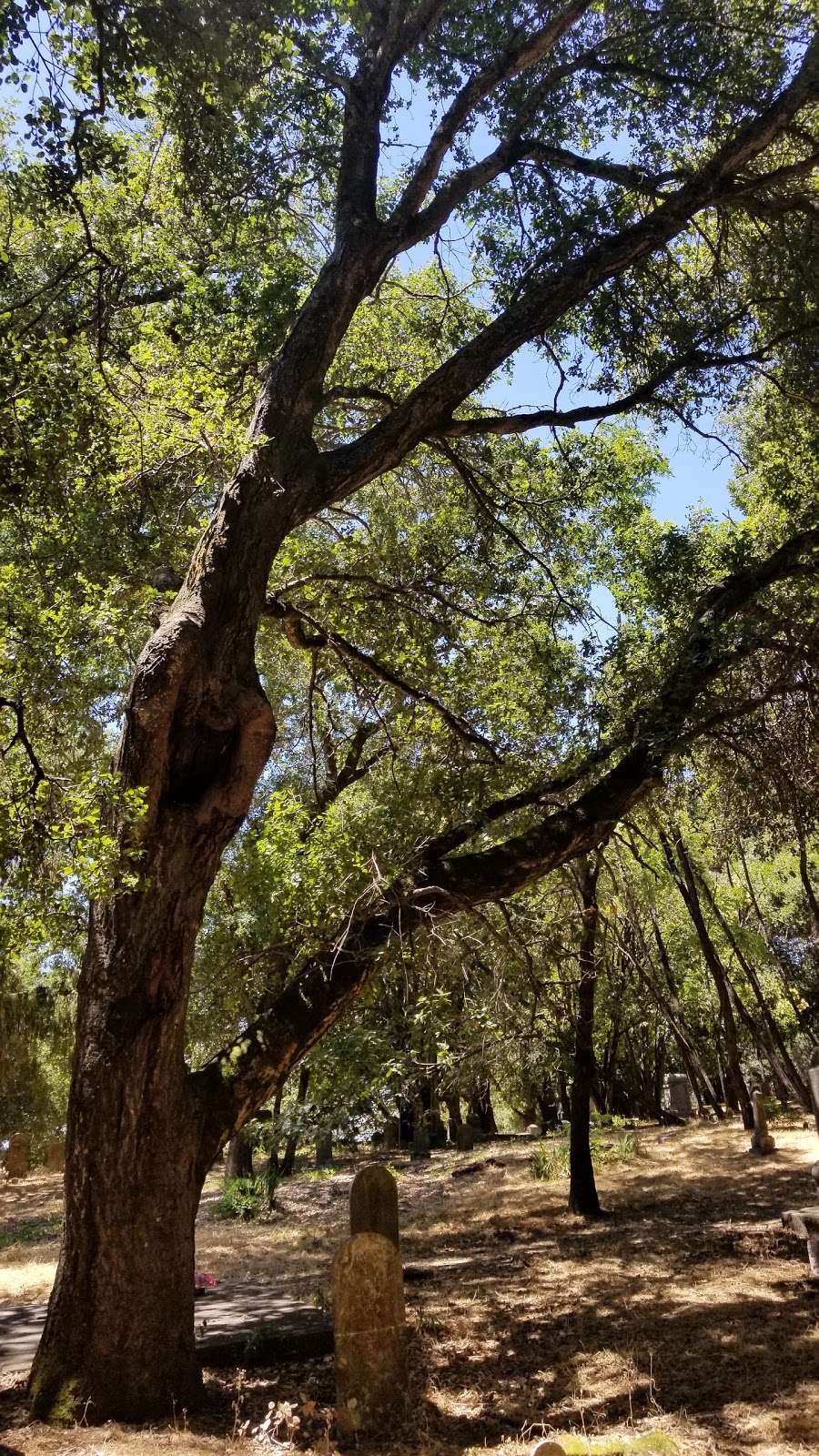 Santa Rosa Rural Cemetery | Santa Rosa, CA 95404, USA