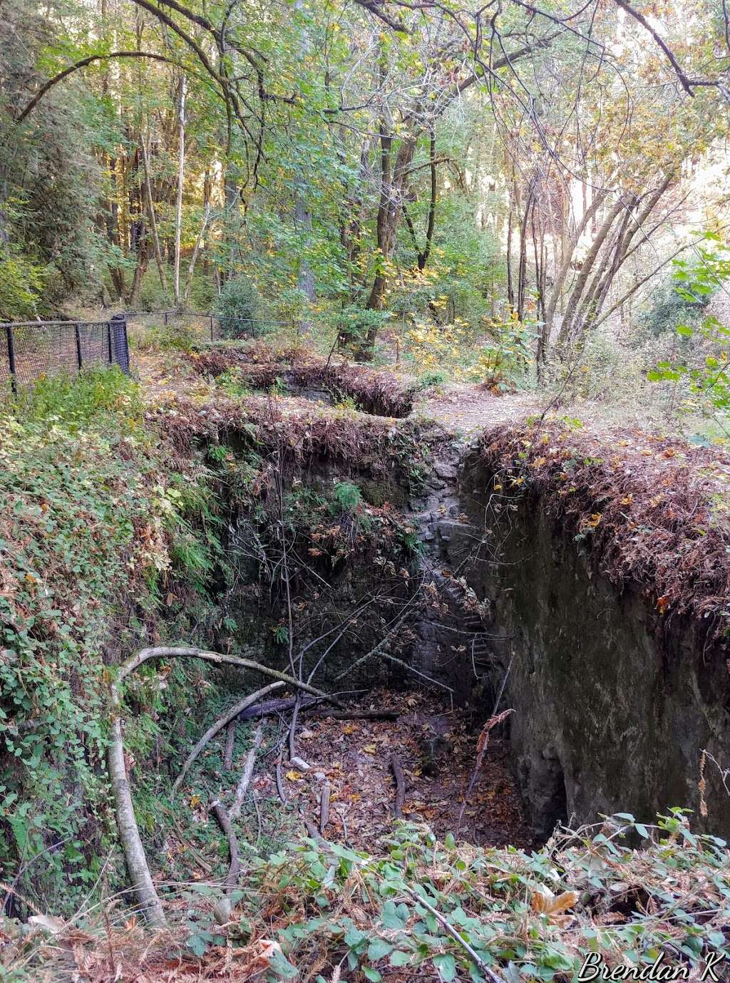 Fall Creek Unit, Henry Cowell Redwoods State Park | 1561 Felton Empire Rd, Felton, CA 95018, USA | Phone: (831) 335-4598