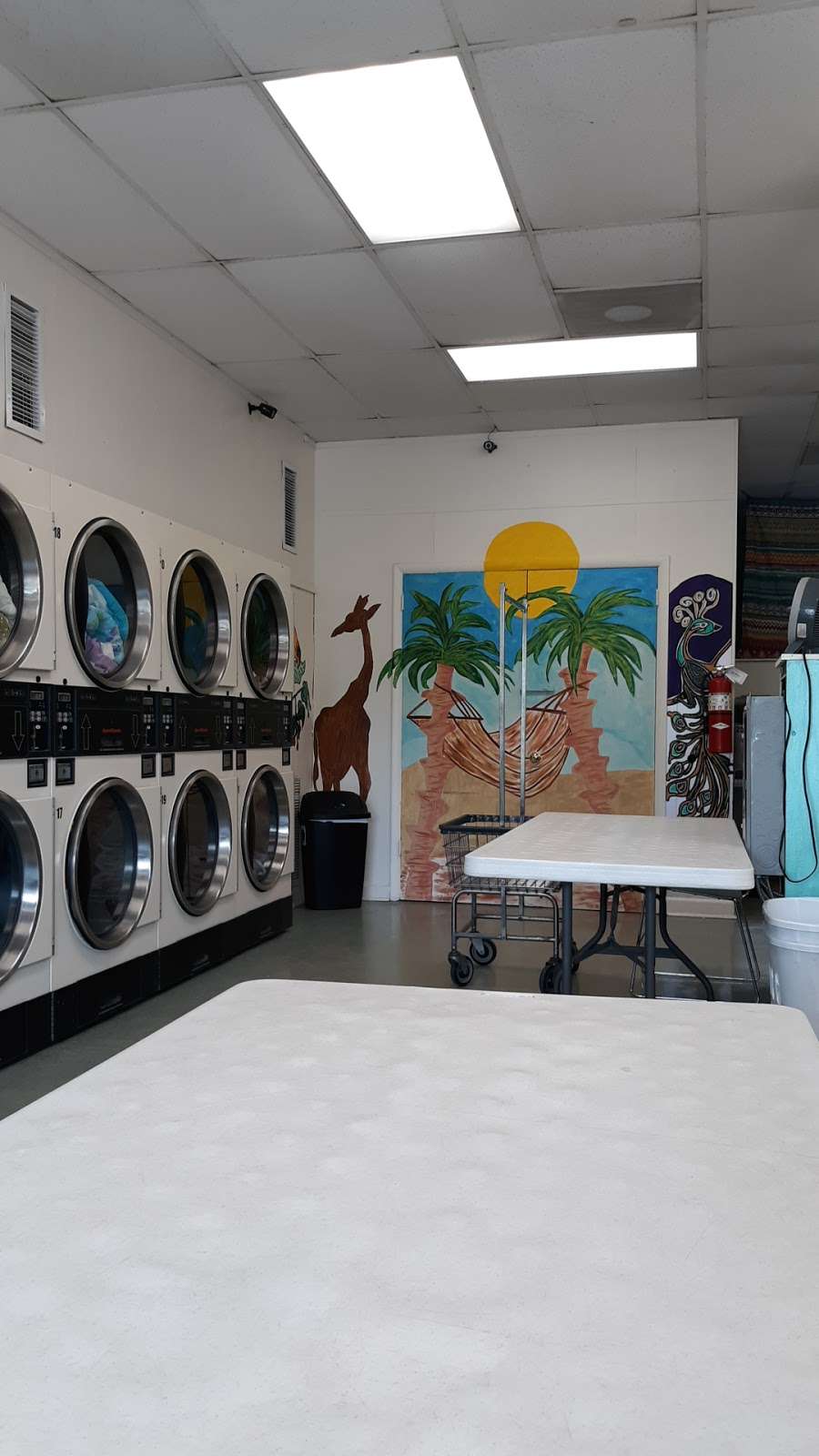 Port Orange Coin Laundry | 5271 S Nova Rd, Port Orange, FL 32127 | Phone: (386) 742-4085