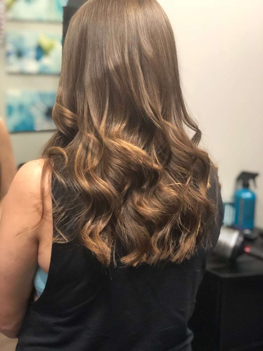 Dreamcuts And Styles Hair Salon | Blue Lion Salon Studios 9107, Farm to Market Rd 723, Richmond, TX 77406, USA | Phone: (832) 310-6159