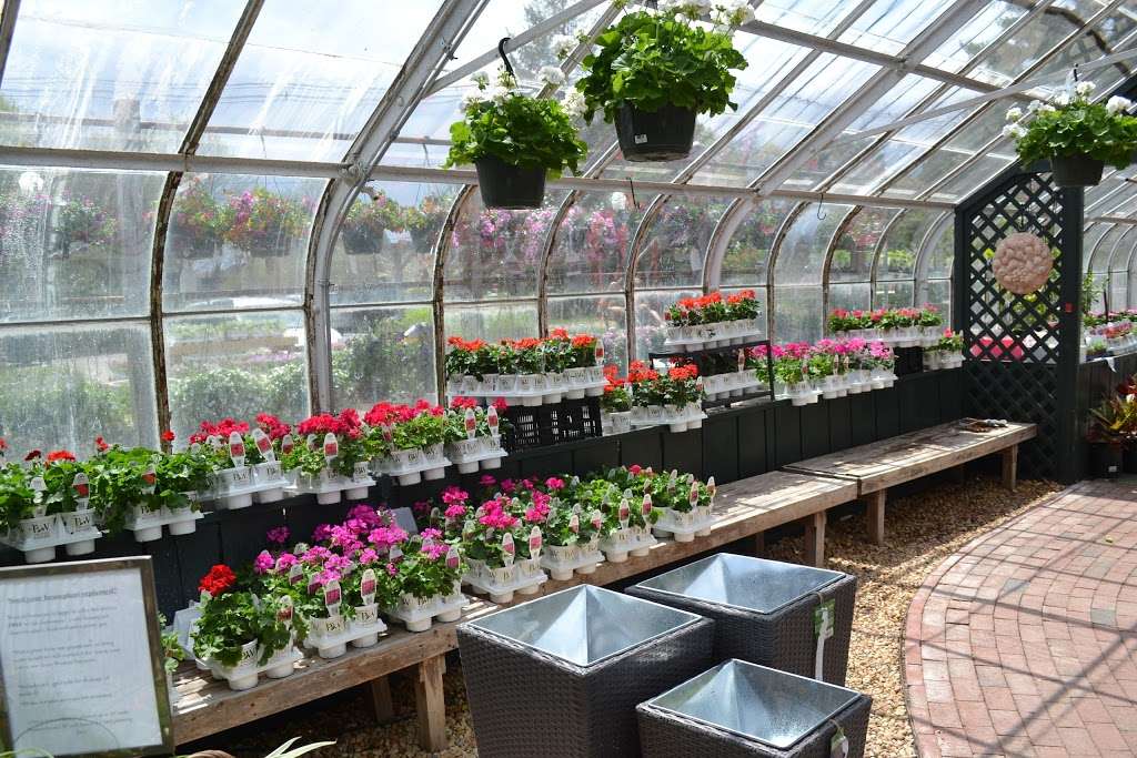 Weston Nurseries | 93 E Main St, Hopkinton, MA 01748, USA | Phone: (508) 435-3414