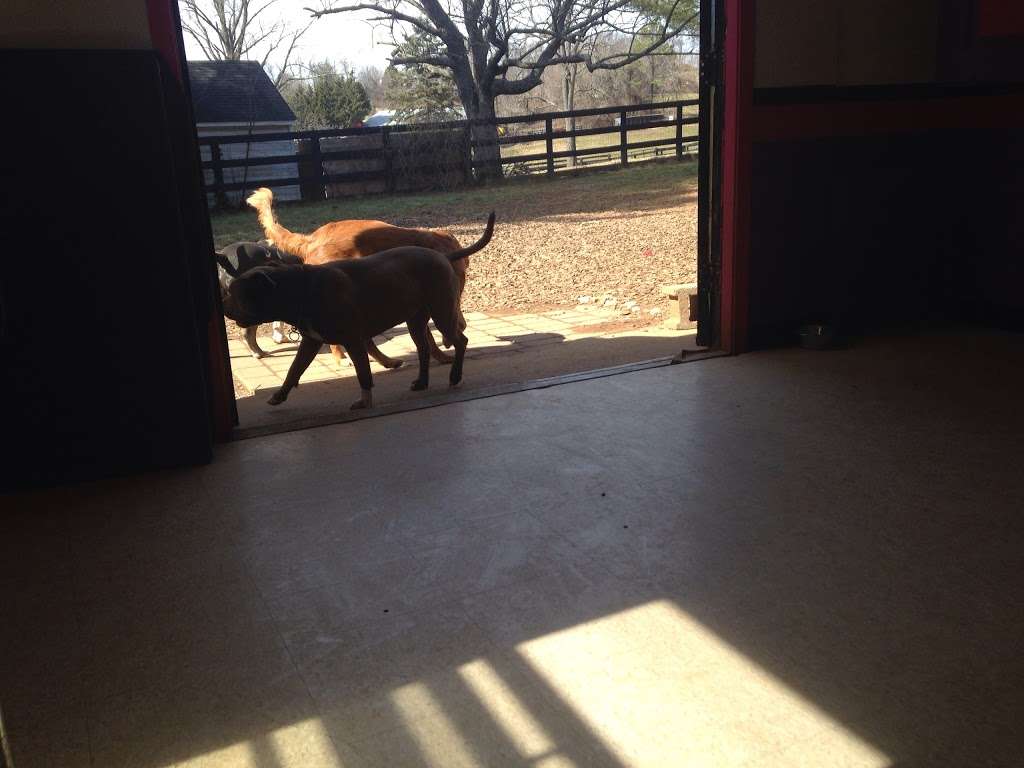 Howl of a Good Time | 18908 Harmony Church Rd, Leesburg, VA 20175, USA | Phone: (703) 777-6389