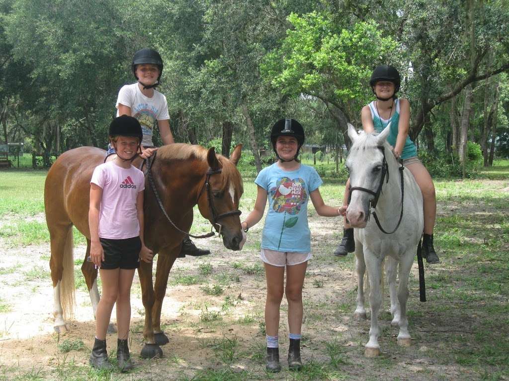 Central Florida Equestrian Center | 425 Faye St, Apopka, FL 32712 | Phone: (407) 402-6454