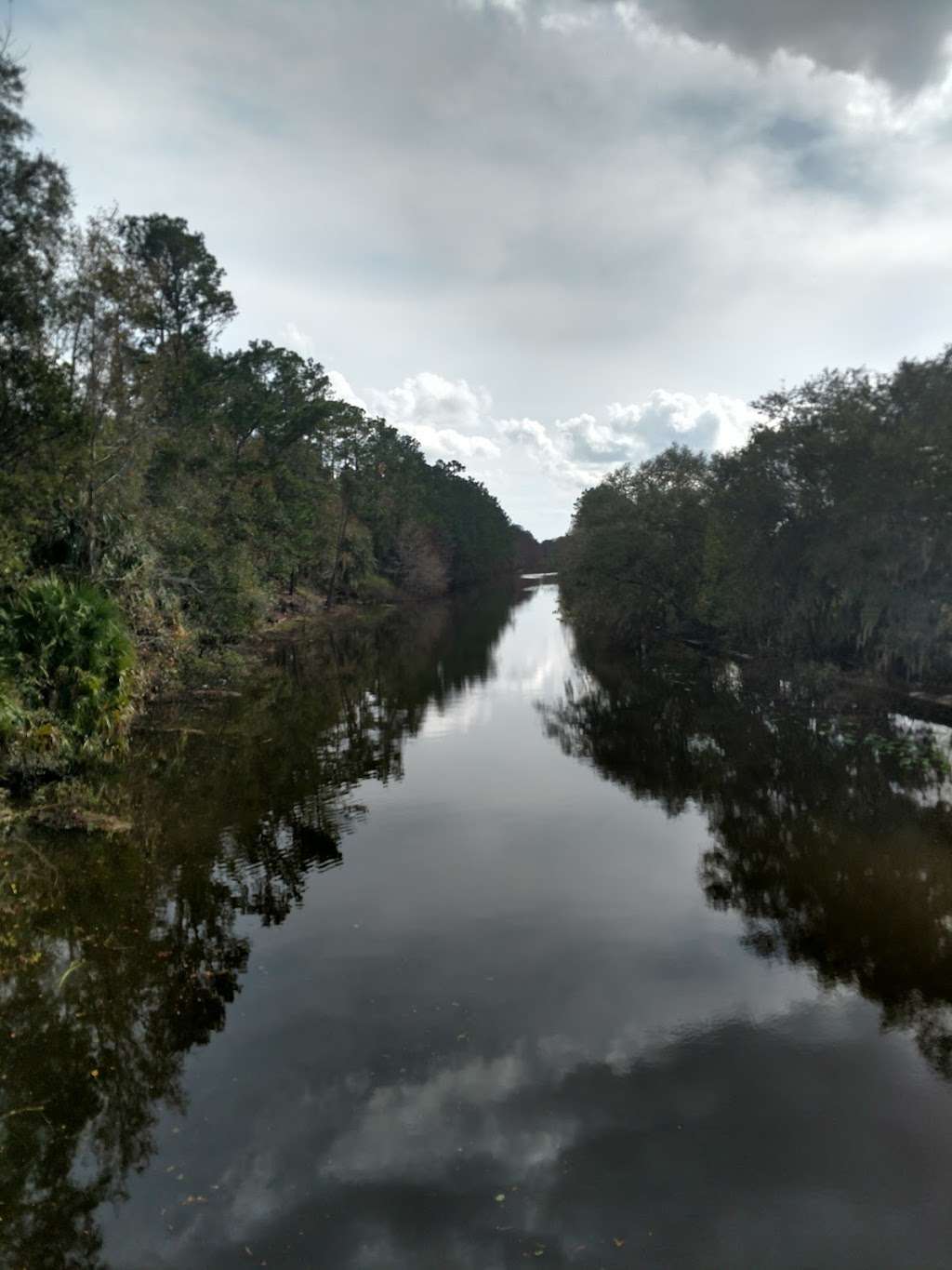 Ocklawaha Prairie Restoration Area Trail Head | SE 137th Avenue Rd, Ocklawaha, FL 32179, USA | Phone: (386) 329-4404