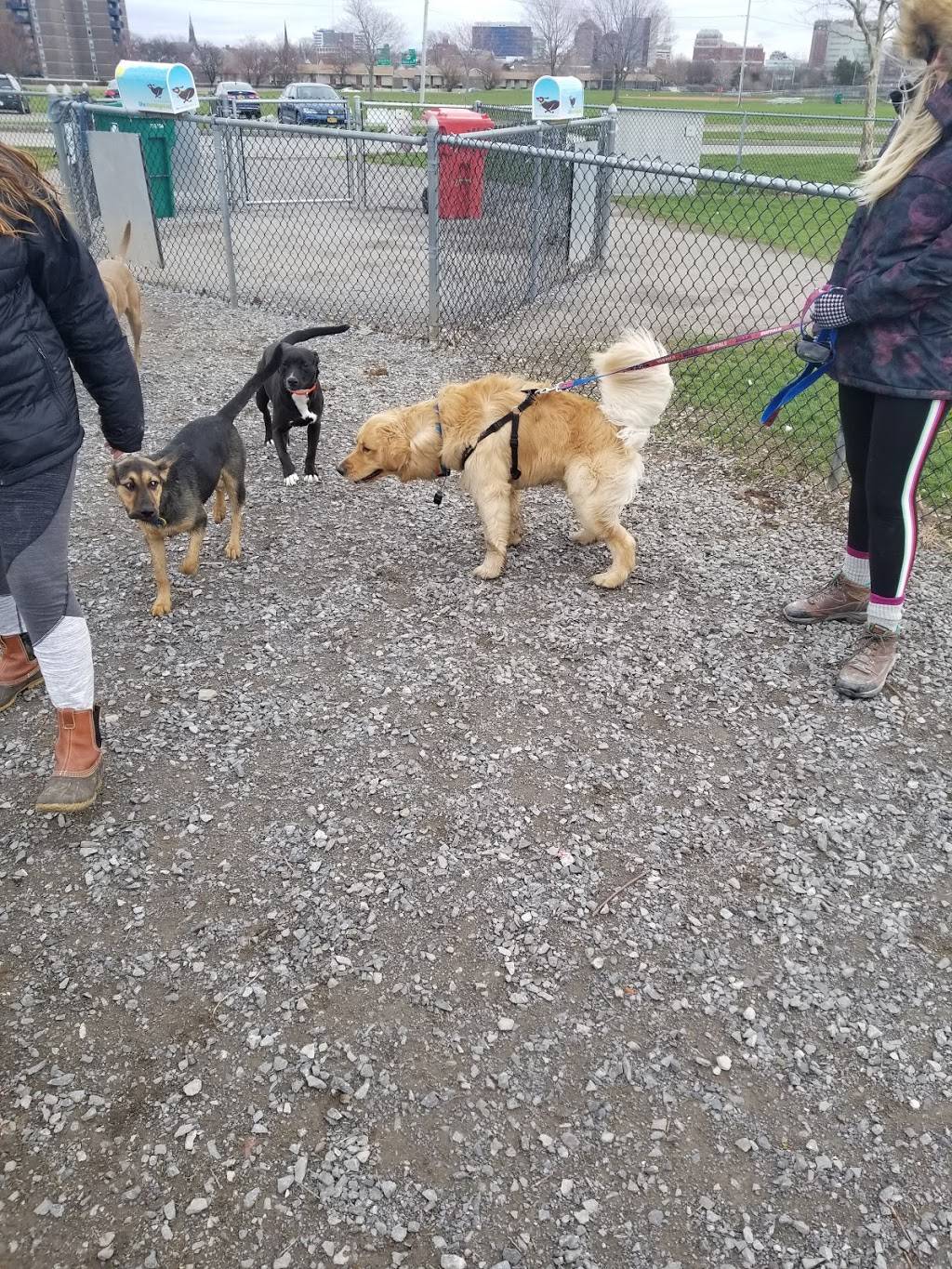 The Barkyard - Off-Leash Dog Park | D A R Dr, Buffalo, NY 14202, USA | Phone: (716) 218-0303