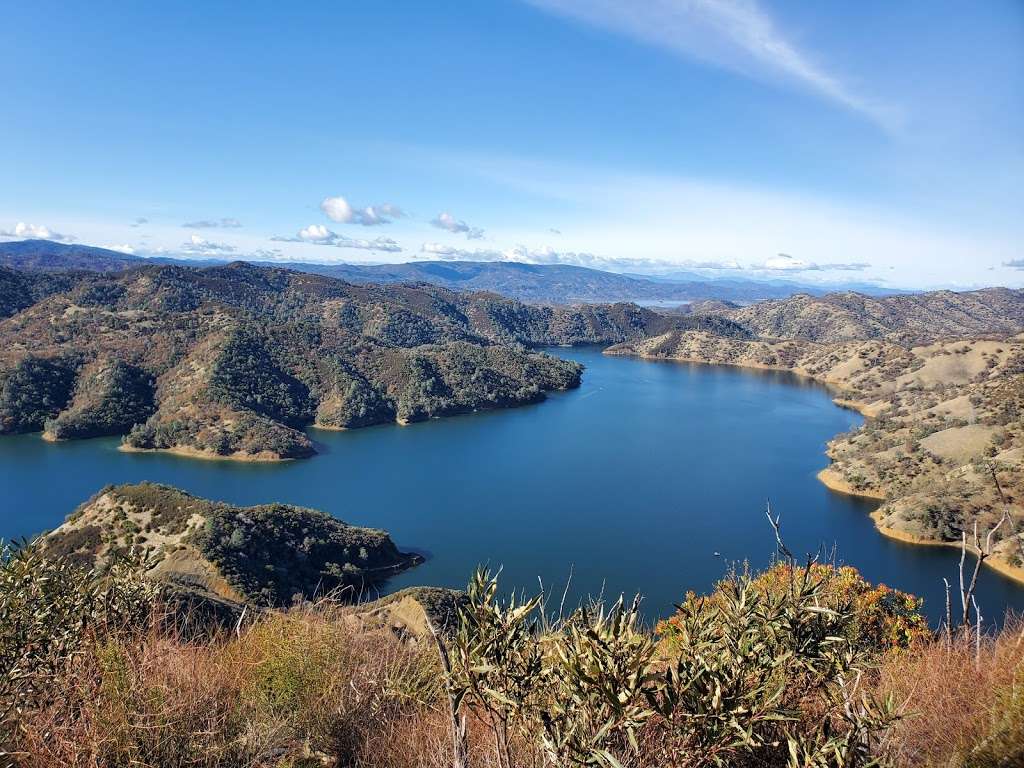 UC Davis - Stebbins Cold Canyon Natural Reserve | 24875 CA-128, Winters, CA 95694, USA