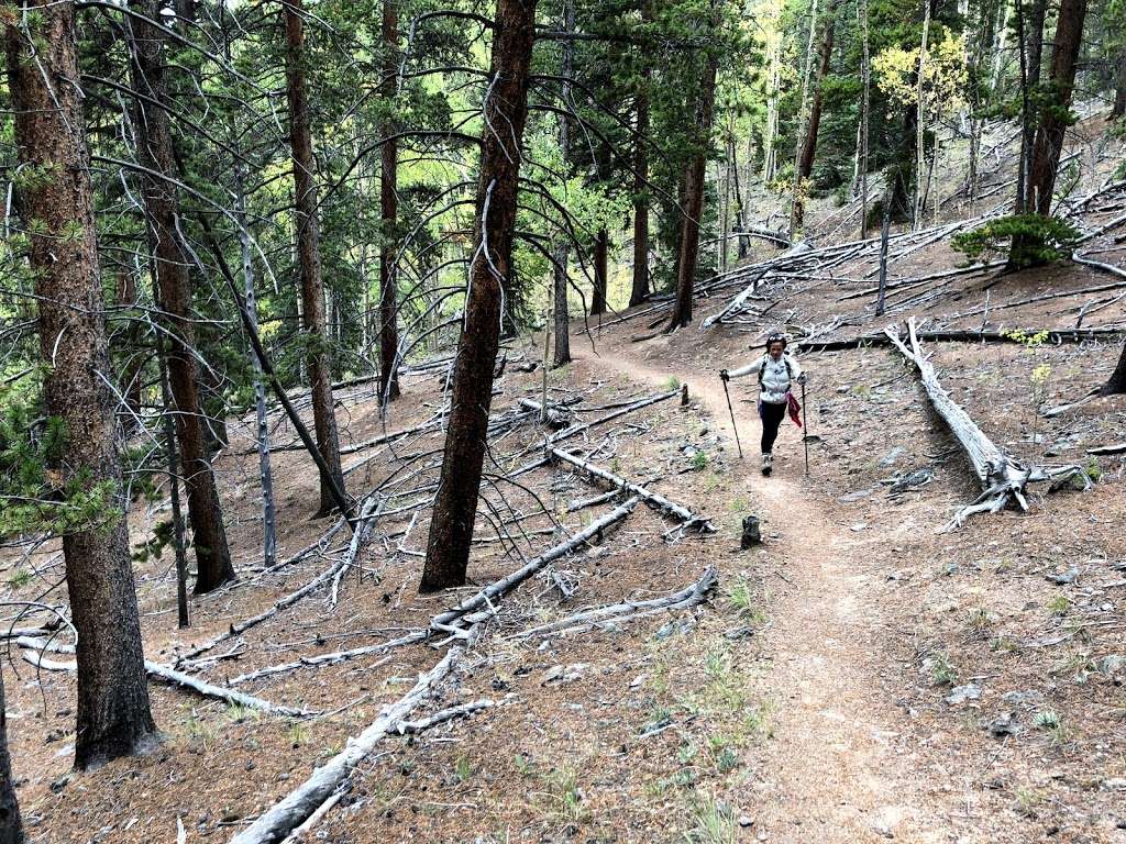 Long Gulch Trailhead | Forest Rd 817, Jefferson, CO 80456, USA