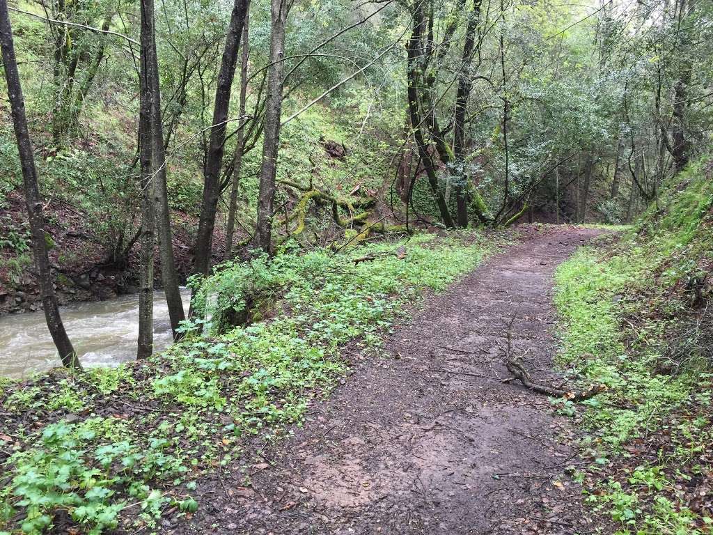 Moore Creek Park | 2602 Chiles Pope Valley Rd, St Helena, CA 94574, USA