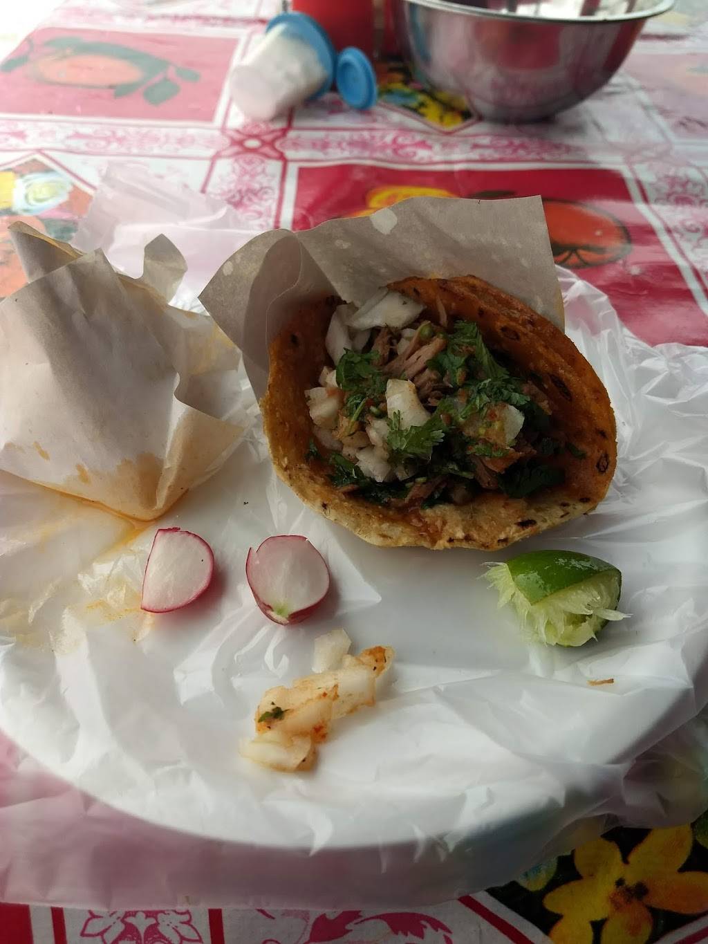 Tacos El Puebla | Cam Vecinal, Verona Residencial, La Joya, B.C., Mexico | Phone: 664 235 8266